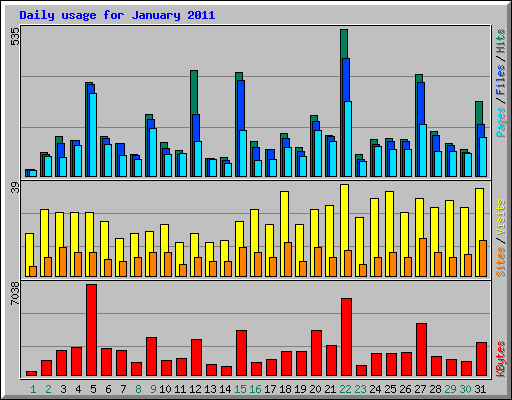 Daily usage for January 2011