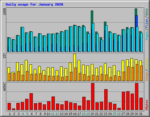 Daily usage for January 2020