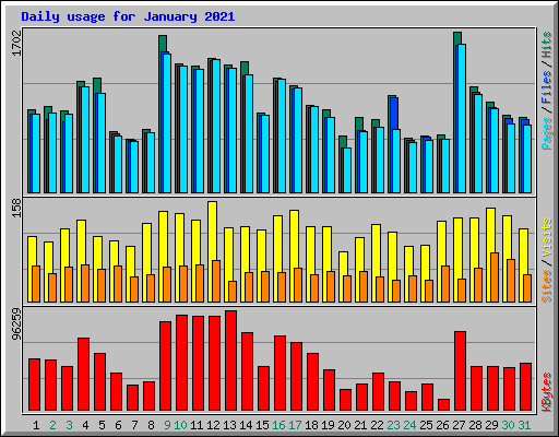 Daily usage for January 2021