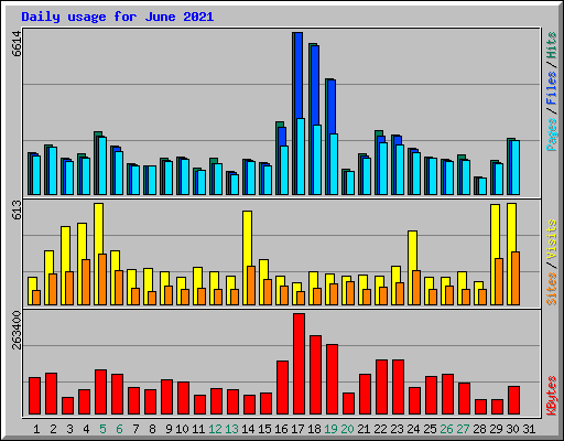 Daily usage for June 2021