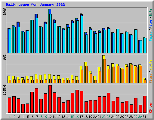 Daily usage for January 2022