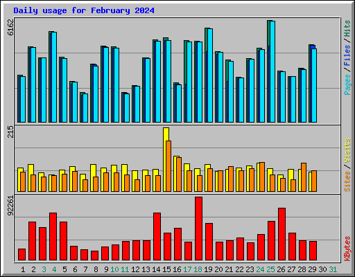 Daily usage for February 2024