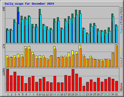 Daily usage for December 2024