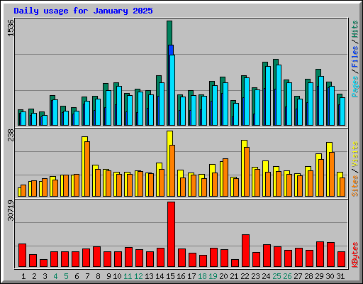 Daily usage for January 2025