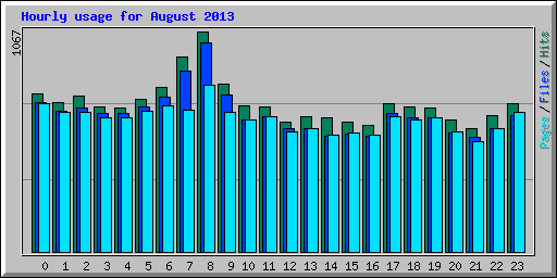Hourly usage for August 2013