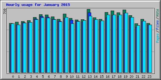 Hourly usage for January 2015