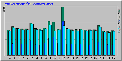 Hourly usage for January 2020