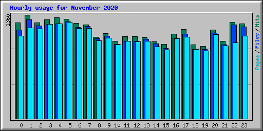 Hourly usage for November 2020