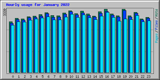 Hourly usage for January 2022