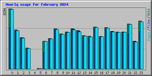 Hourly usage for February 2024