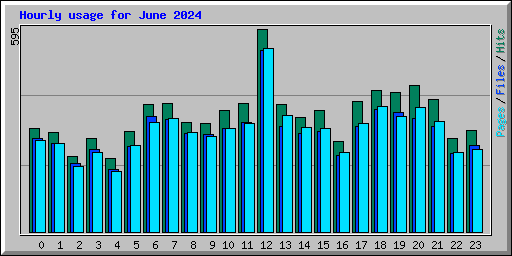 Hourly usage for June 2024