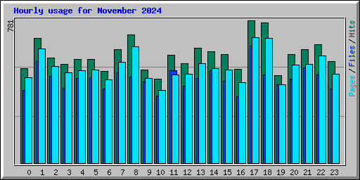 Hourly usage for November 2024