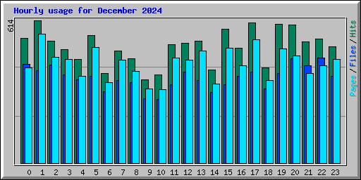 Hourly usage for December 2024