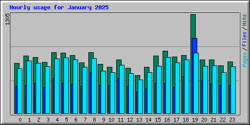 Hourly usage for January 2025