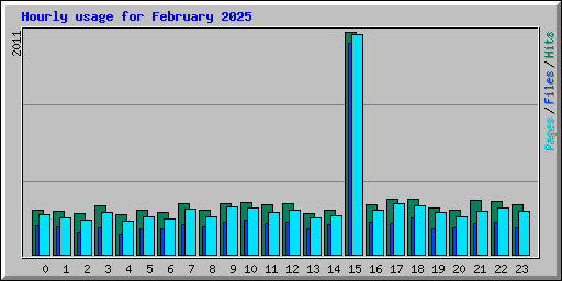 Hourly usage for February 2025