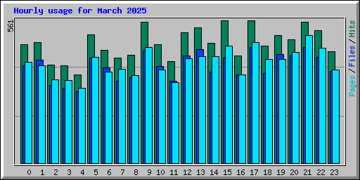 Hourly usage for March 2025
