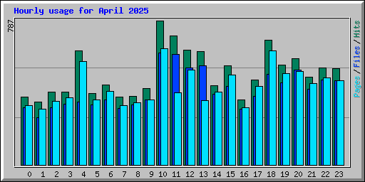 Hourly usage for April 2025