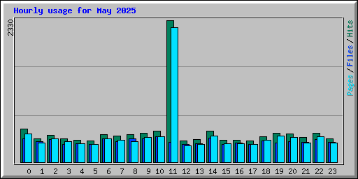 Hourly usage for May 2025