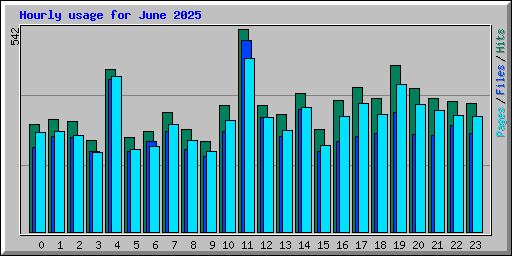 Hourly usage for June 2025