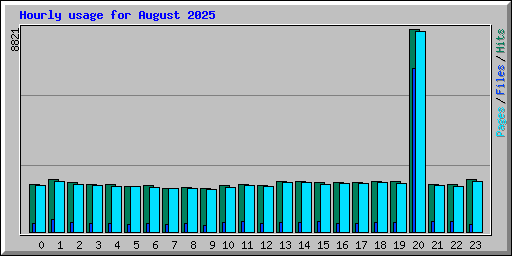 Hourly usage for August 2025