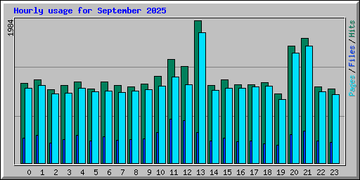Hourly usage for September 2025