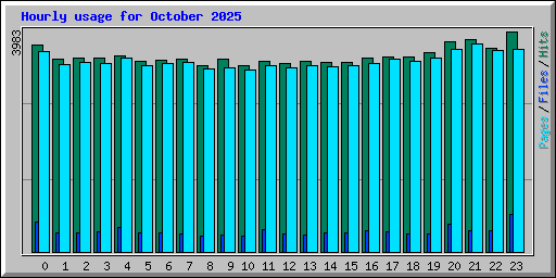 Hourly usage for October 2025