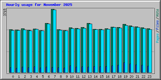 Hourly usage for November 2025