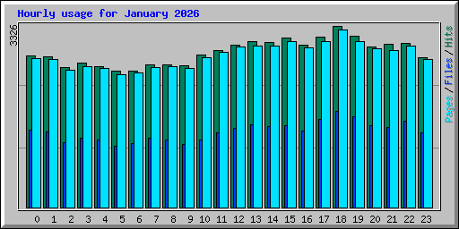 Hourly usage for January 2026