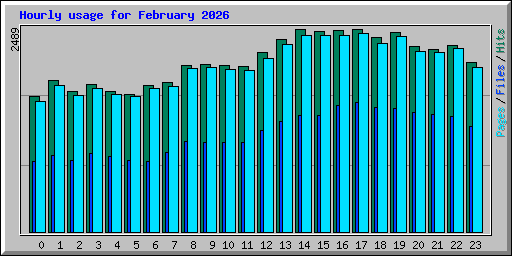 Hourly usage for February 2026