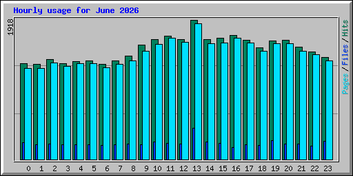 Hourly usage for June 2026